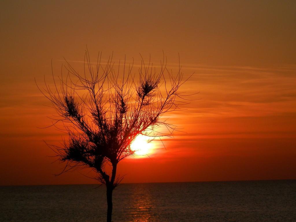 Al Fakhar Bed and Breakfast Ficarra Εξωτερικό φωτογραφία