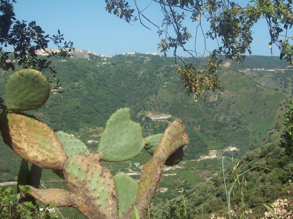 Al Fakhar Bed and Breakfast Ficarra Εξωτερικό φωτογραφία